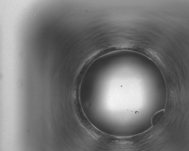 X0000072500539200607290108