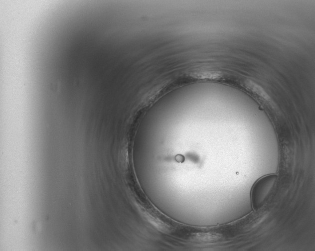 X0000072500541200607290108