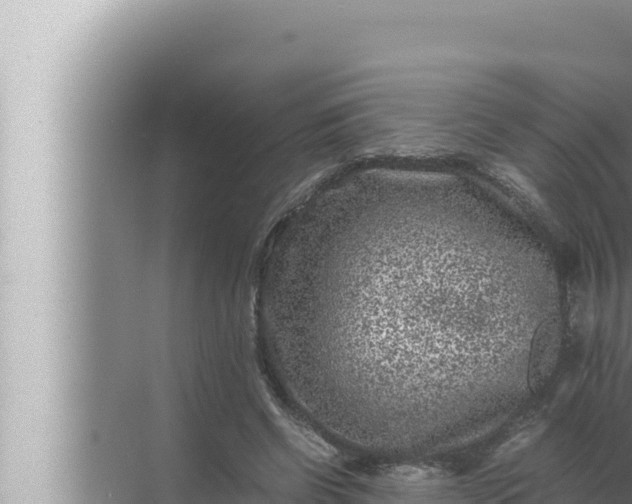 X0000072500542200607290108