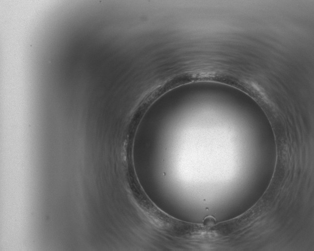 X0000072500543200607290108