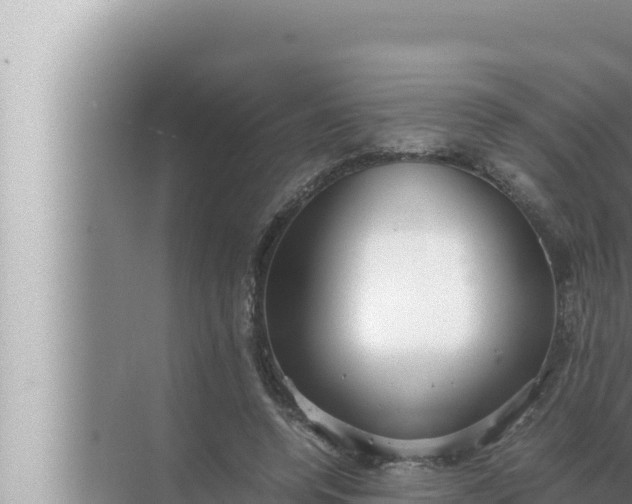 X0000072500544200607290108