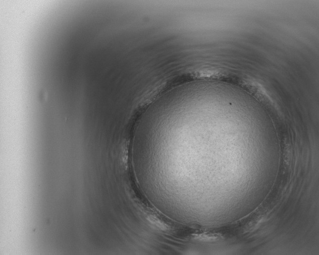 X0000072500545200607290108