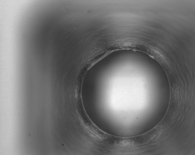 X0000072500546200607290108