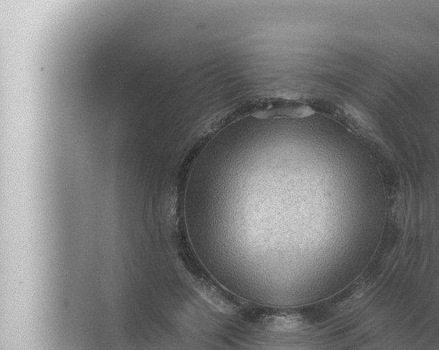 X0000072500548200607290108