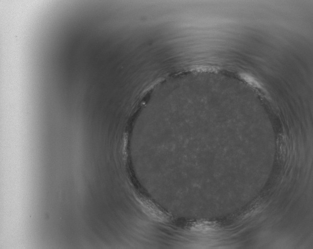 X0000072500550200607290108