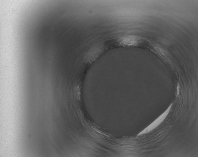 X0000072500551200607290108