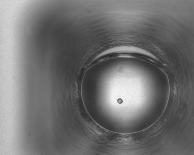 X0000072500552200607290108