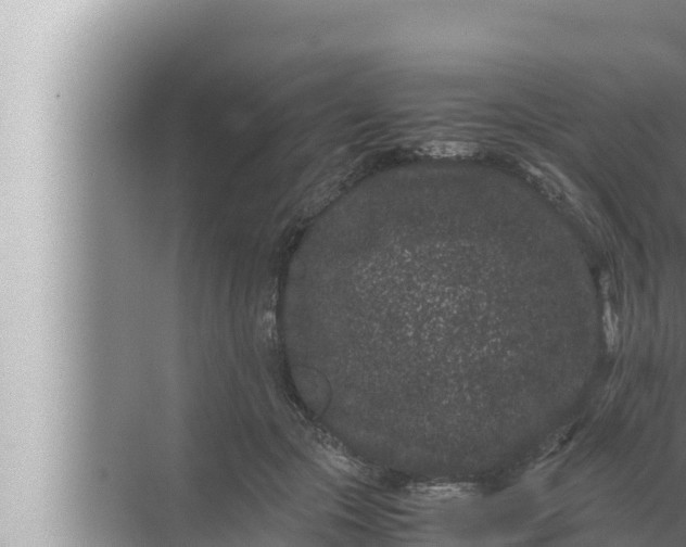 X0000072500553200607290108