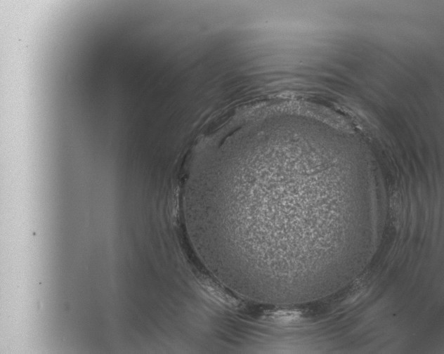 X0000072500554200607290108