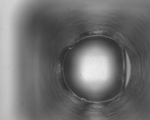 X0000072500555200607290108