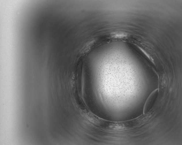 X0000072500559200607290108