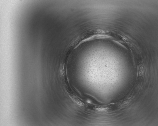 X0000072500560200607290108