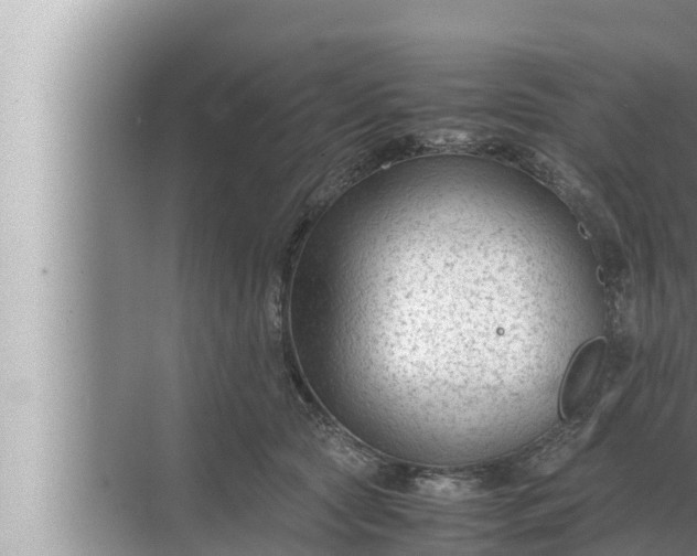 X0000072500561200607290108