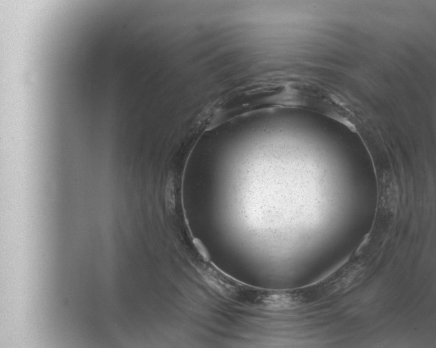 X0000072500562200607290108