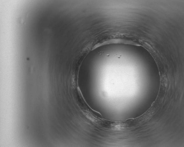 X0000072500564200607290108