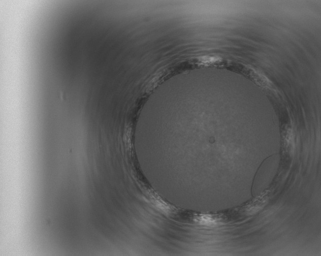 X0000072500565200607290108