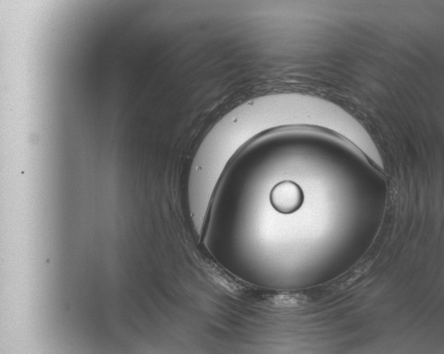 X0000072500566200607290108