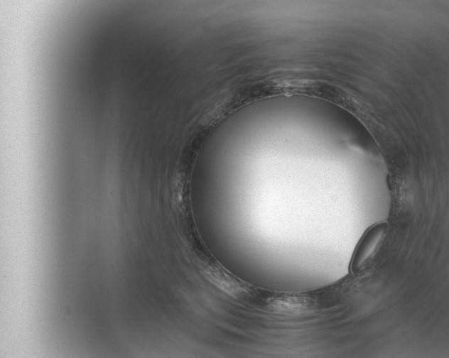 X0000072500567200607290109