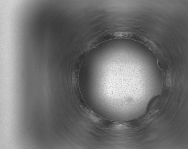 X0000072500569200607290109