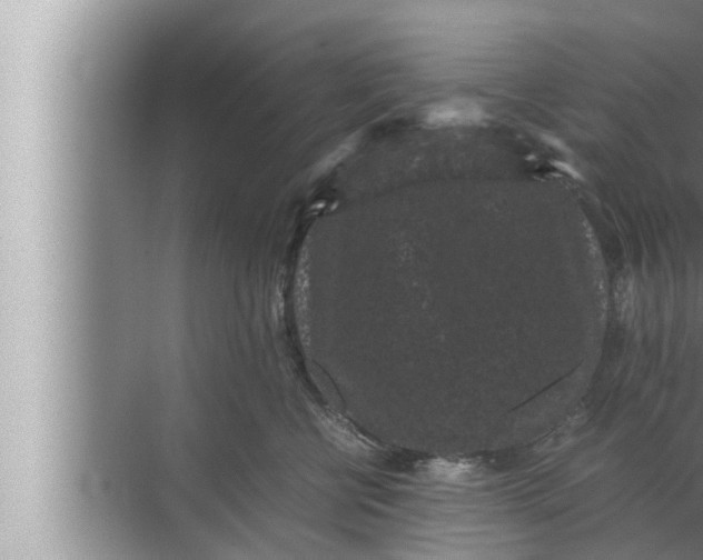 X0000072500570200607290109