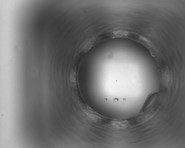 X0000072500571200607290109