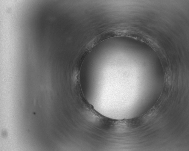 X0000072500574200607290109