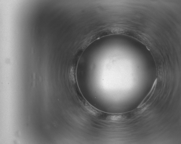 X0000072500575200607290109