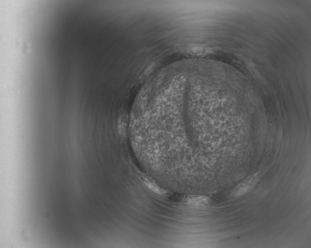 X0000072500576200607290109