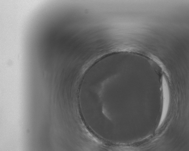 X0000072500577200607290108