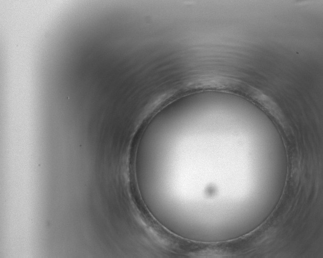 X0000072500578200607290108