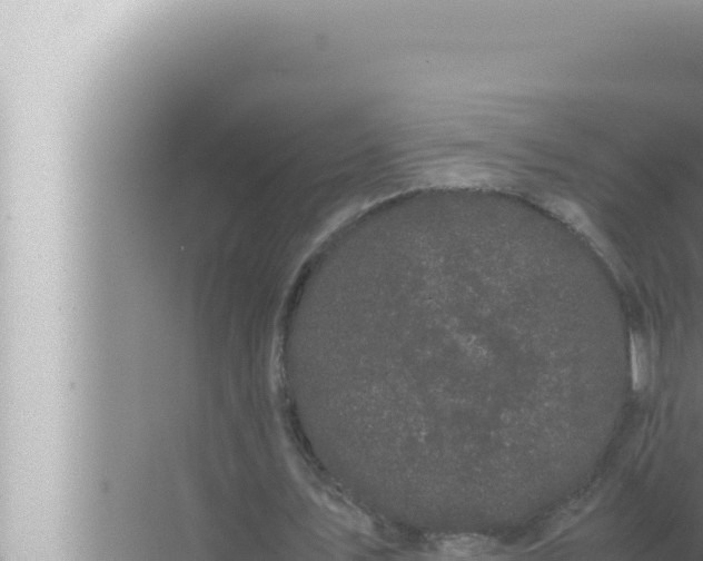 X0000072500579200607290108