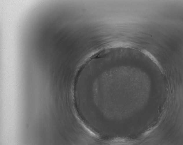 X0000072500581200607290108