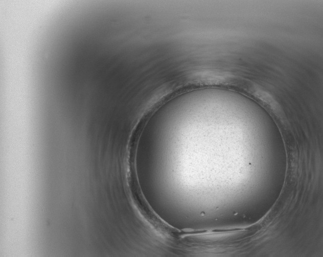 X0000072500582200607290108