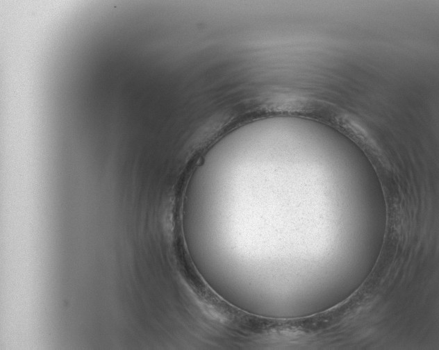 X0000072500586200607290108