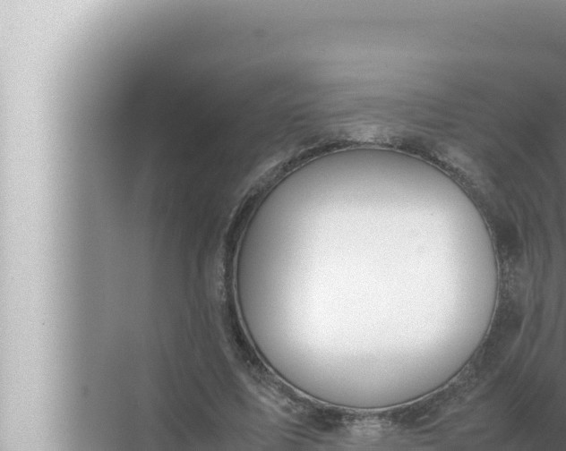 X0000072500587200607290108