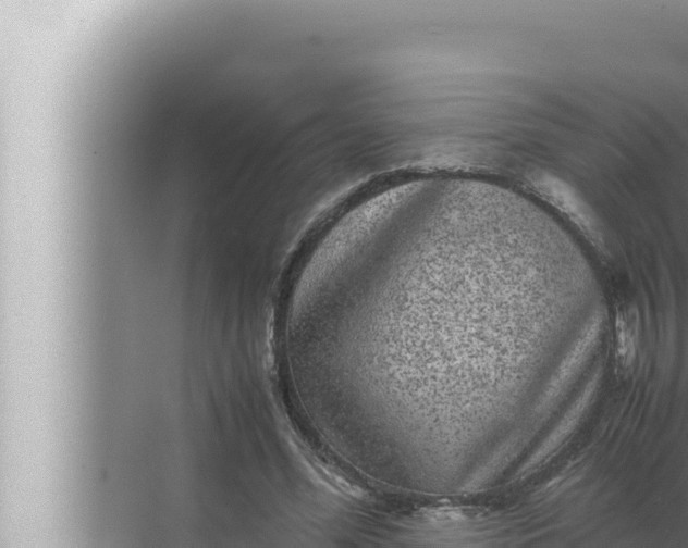 X0000072500588200607290108