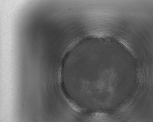 X0000072500590200607290108