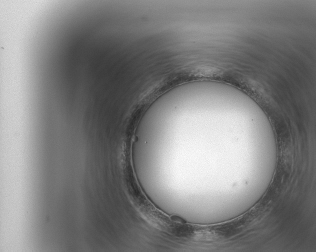 X0000072500591200607290108