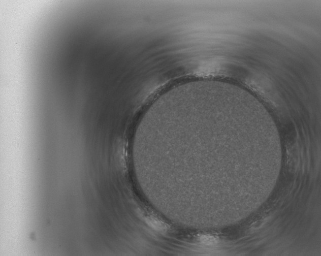 X0000072500592200607290108