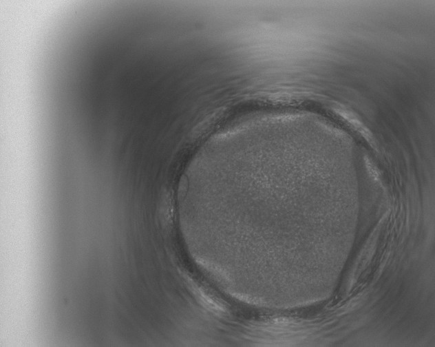 X0000072500593200607290108