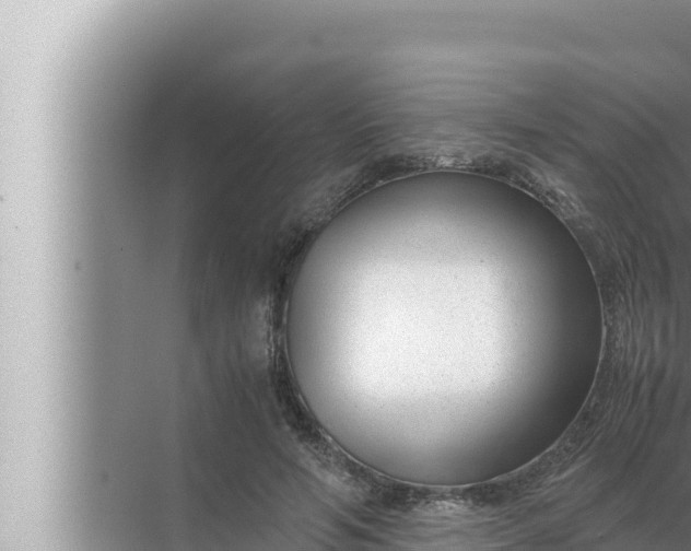 X0000072500594200607290108