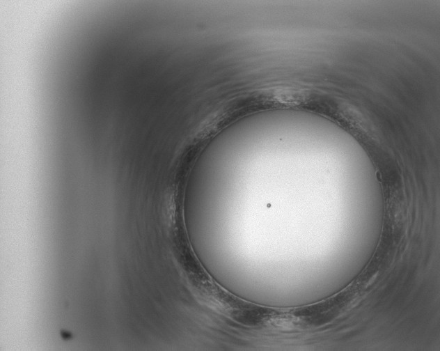 X0000072500595200607290108