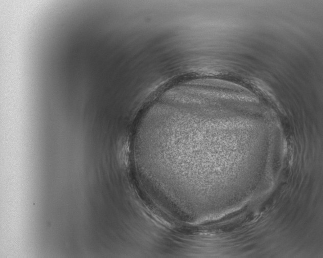 X0000072500596200607290108