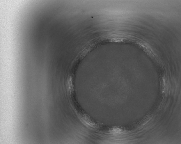 X0000072500598200607290107