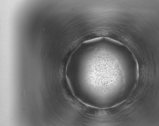 X0000072500600200607290107