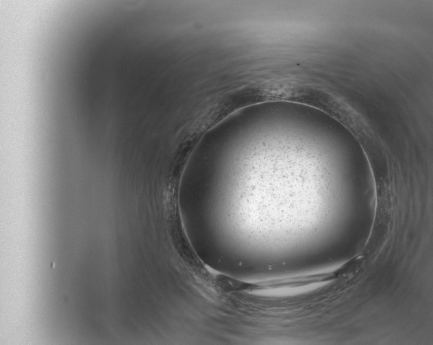 X0000072500601200607290107