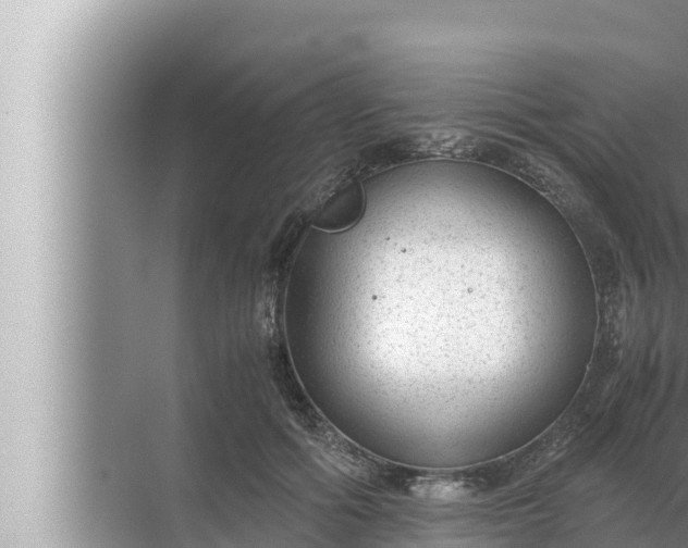 X0000072500602200607290107