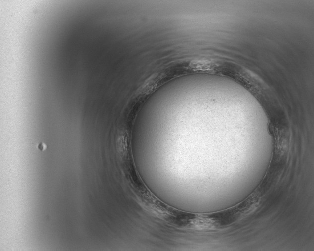 X0000072500603200607290107