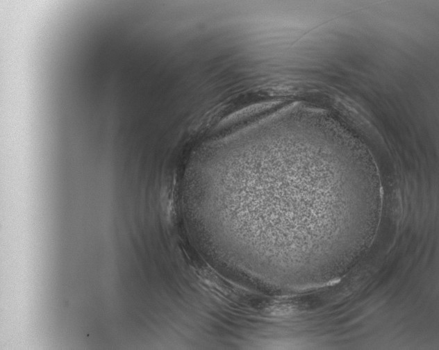 X0000072500604200607290107