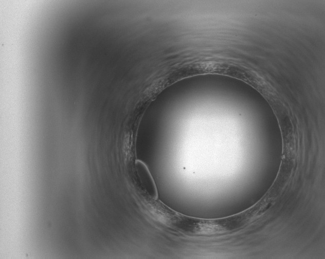 X0000072500605200607290107